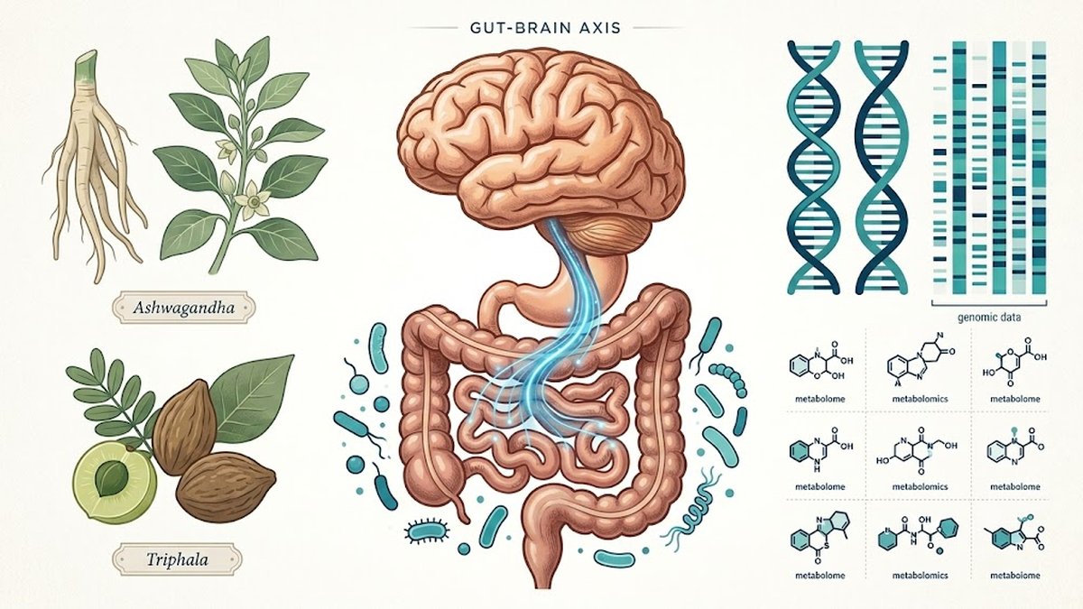The Gut-Brain Axis: Ayurvedic Adaptogens and the Microbiome